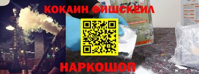 индика Шелехов