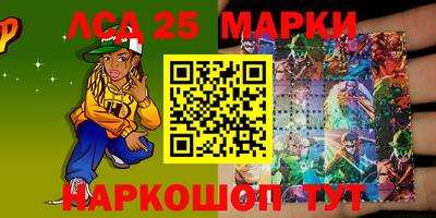 индика Шелехов