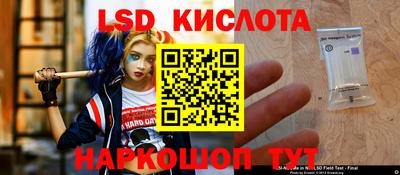 индика Шелехов