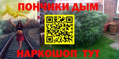 индика Шелехов