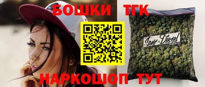 индика Шелехов