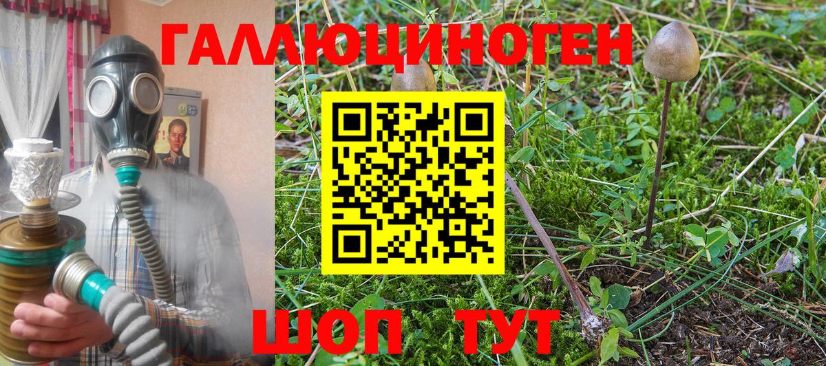 Галлюциногенные грибы GOLDEN TEACHER  Галлюциногенные грибы мицелий  Алушта  Вход с VPN 